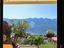 Immagine 14