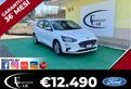 FORD Focus 1.5 EcoBlue 95CV 5p. Business - 2020