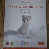 libri per scuola superiore 
