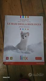 libri per scuola superiore 