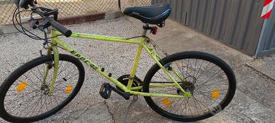 bicicletta mountain bike 