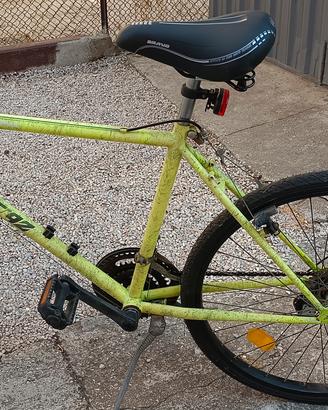 bicicletta mountain bike 