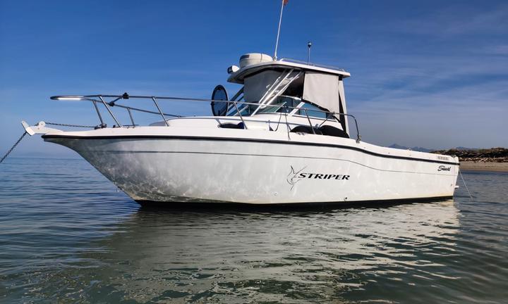 Seaswirl Striper 2600