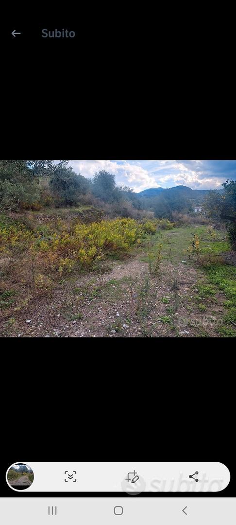Terreno termini imerese - Vista 4