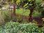 Immagine 26