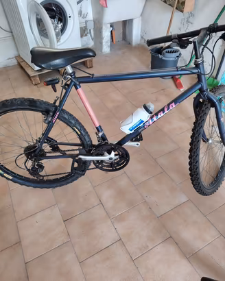 bicicletta 