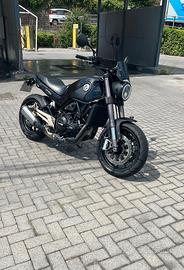 Benelli Leoncino 500