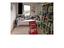 Immagine 11