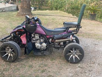 Quad Haili 250