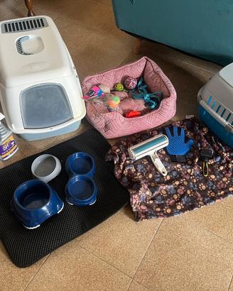 KIT completo accessori GATTO + distrib cibo Wifi