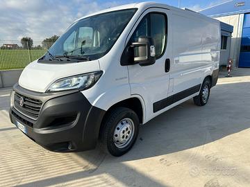 Fiat ducato tetto basso 2300 mjt