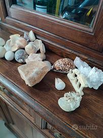 ACCESSORI ACQUARIO