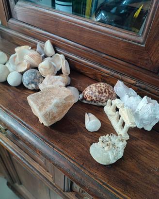 ACCESSORI ACQUARIO