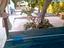 Immagine 3