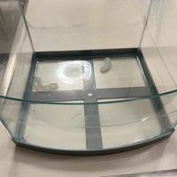 Vasca vetro Tartaruga