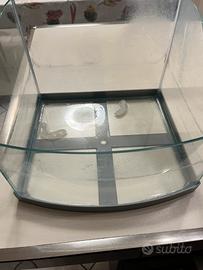 Vasca vetro Tartaruga