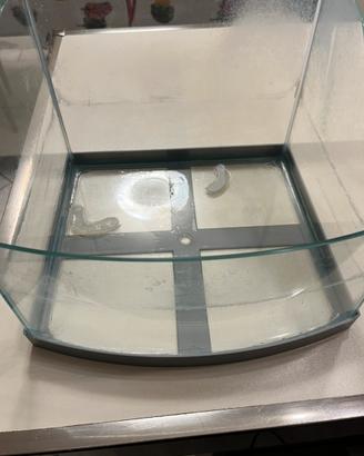 Vasca vetro Tartaruga