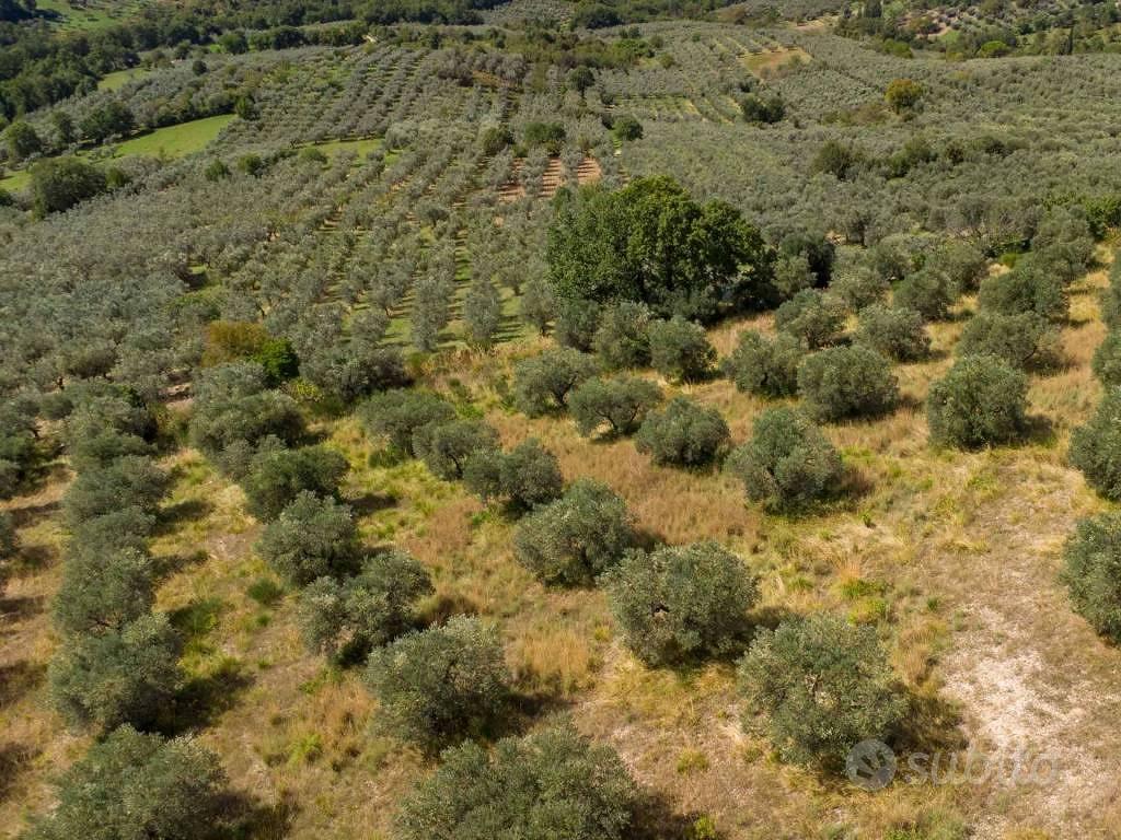 Terreno di 3770 m² a Poggio Nativo - Vista 5