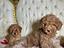 Immagine 24