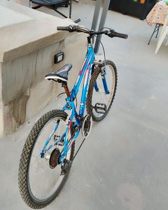 Mtb 24 bambino