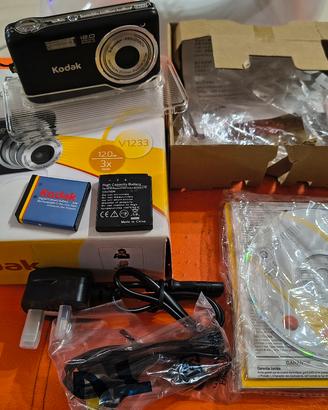 Kodak easyshare v1233
