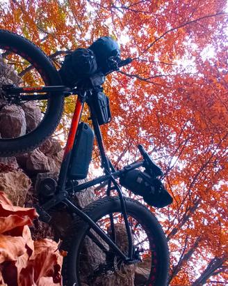 🌿 Kit bici elettrica – trasformazione su misura