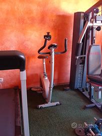 palestra completa 
