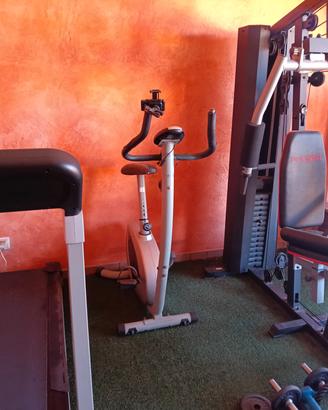 palestra completa 