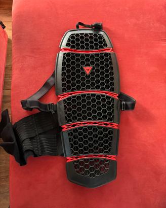 Tartaruga Dainese l -xxl