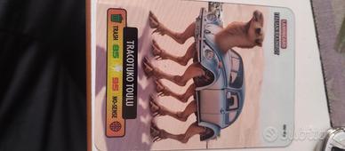 Lamicard  Italian Brairot Tracotuko Toulu