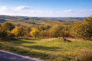 Terreno edificabile panoramico 1700mq - Val Tidone