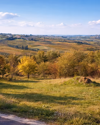 Terreno edificabile panoramico 1700mq - Val Tidone