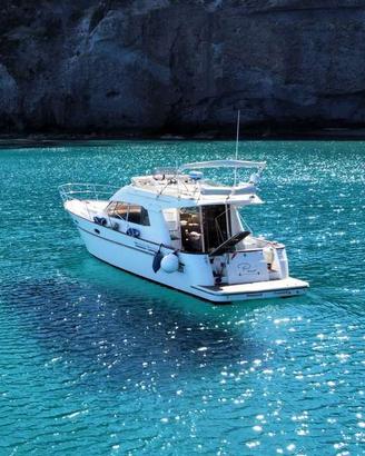 Escursioni in barca Argentario Giglio Giannutri El