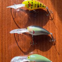Esche Crankbait NORMAN DD 22  2