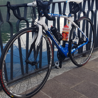 Bici da corsa Whistle Creek