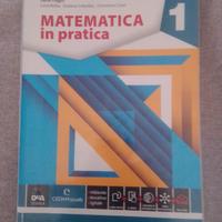 Matematica in pratica 1