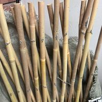 Tralicci bambu estensibili