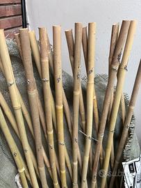 Tralicci bambu estensibili