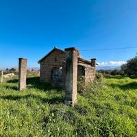 Zagarolo: rustico civile abitazione con terreno