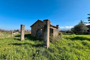 Zagarolo: rustico civile abitazione con terreno