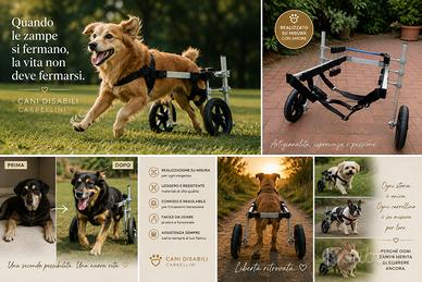 Carrellini due quattro ruote animali disabili