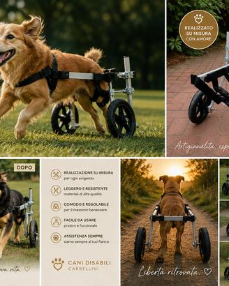 Carrellini due quattro ruote animali disabili