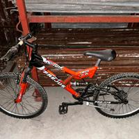 Bicicletta