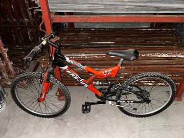 Bicicletta