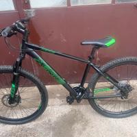 Bicicletta mountain bike