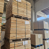 Costruzione box per cavalli