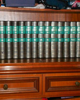 Enciclopedia Universale e medica Rizzoli Laorusse