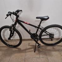 Bici ragazzo 12 anni