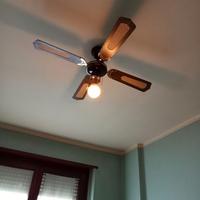 Ventilatori da soffitto con luce