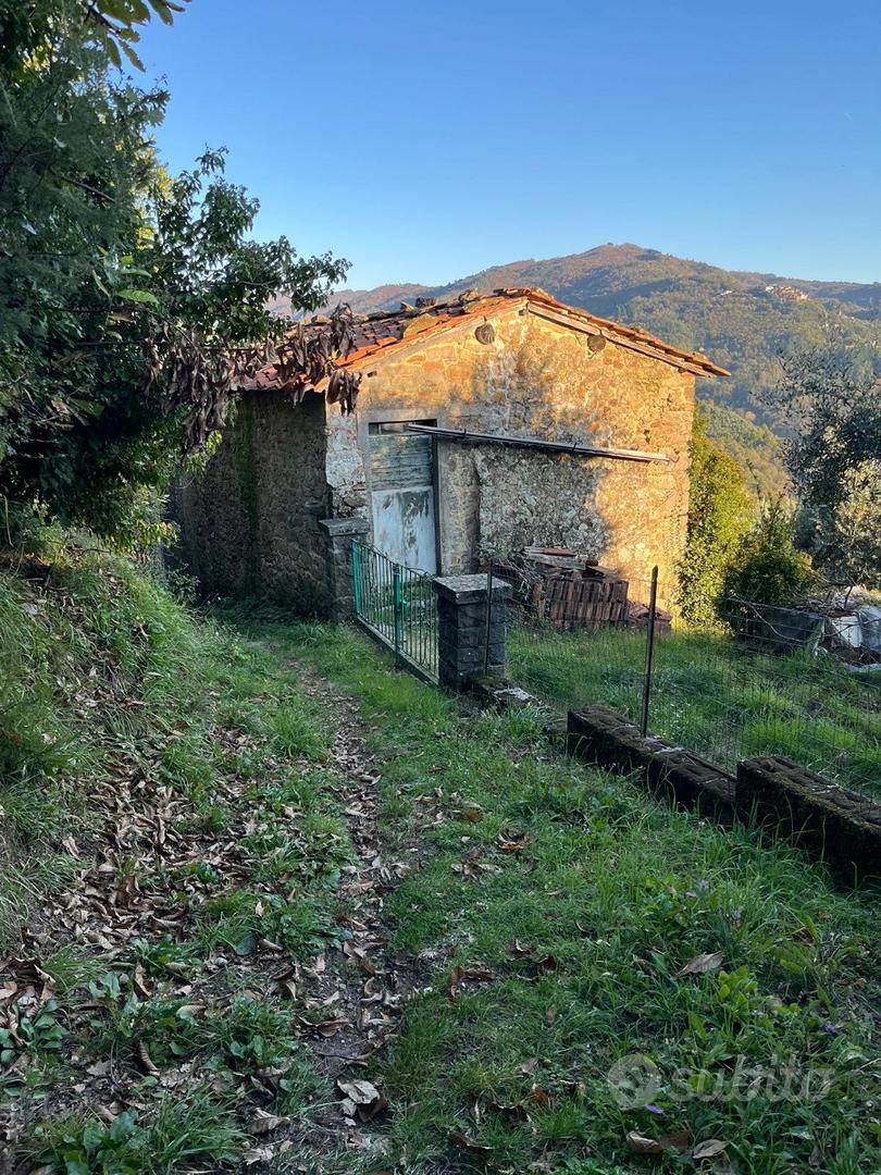 Rustico con oliveto a San Quirico di Valleriana - Vista 4
